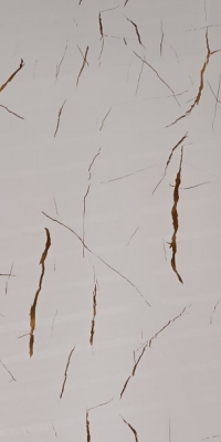 Gilt Series pattern DS21